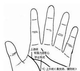 四、 智慧线（头脑线）横长下垂形态与单身趋势之间的关联分析