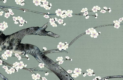 11月份每日五行查询表，哪一天对应的五行是什么？