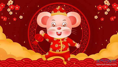 属鼠风水知识大全里有哪些重要的风水原则和注意事项？