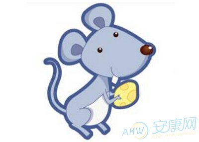 属鼠的人与哪个生肖蕞相配呢？