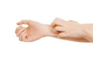 商业奇才の专属梦境？