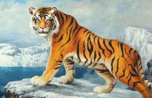 五月十九日属虎人的运势查询具体包括哪些内容？