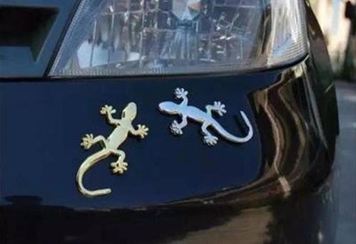 一、 壁虎文化溯源：从神话传说到现代象征