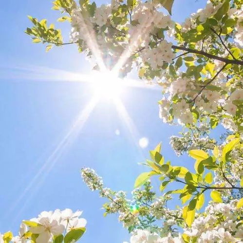 纯真年代的回忆碎片