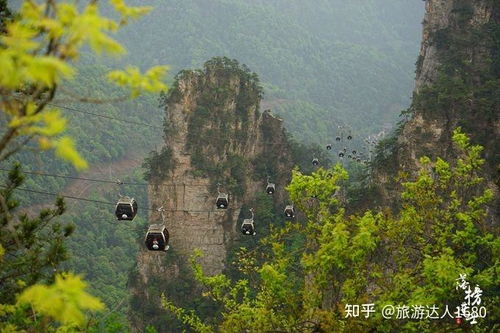 德清旅游深度游攻略：隐藏的宝藏等你发现