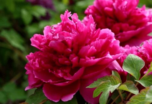 不同出生時辰的人生特點詳解