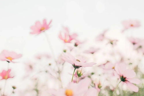 立春三元の超级无敌大杂烩