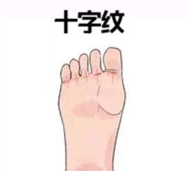 1. 文献检索与筛选标准