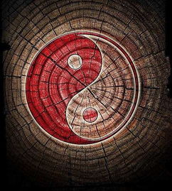 ：童子命概念之源流与学术阐释