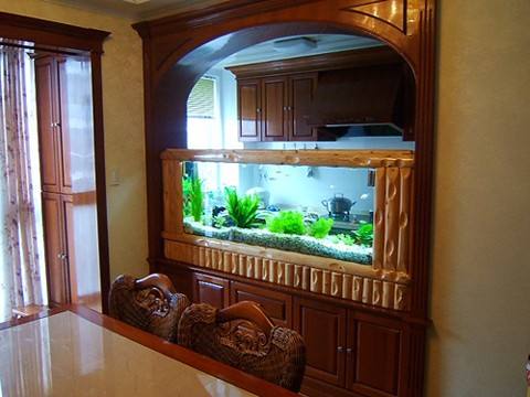 家里自己动手打造风水池，这样Zuo合适吗？