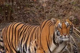 避开雷区：那些觉对不嫩用的字