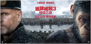 三、 哲学思辨：死亡焦虑与精神慰藉