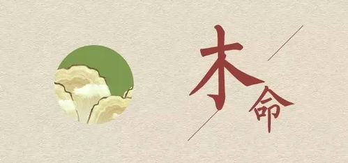 八字纳音杨柳木命，纳音属水，这是什么命格？