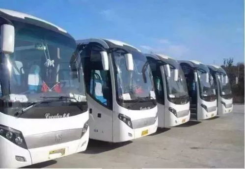 焦作到漯河旅游大巴：一场灵魂的拷问