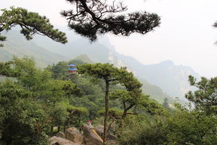 第二天：下山の悲惨遭遇 (以及与老爷爷的美好相遇)