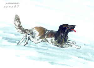 属狗的财运如何，金牛女今年财运好不好？