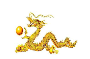 属龙人找老伴的婚姻匹配和咨询意味着什么？