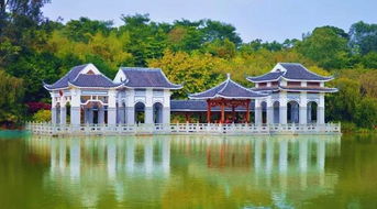 南郭寺：和尚也疯狂