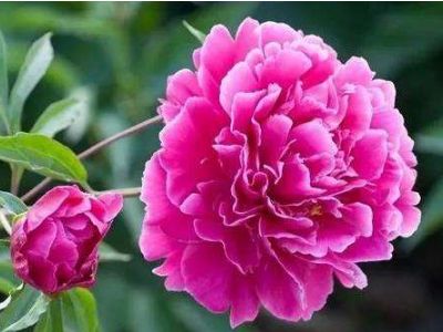 小王案例剖析（案例研究）：