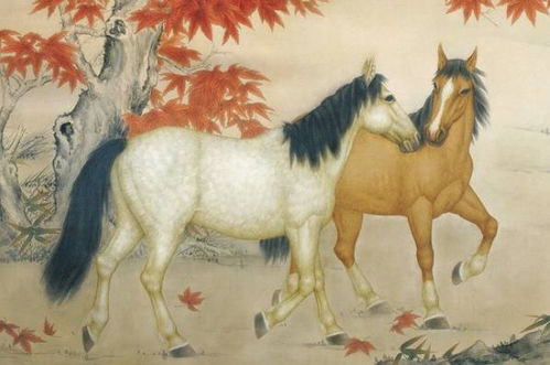 1966年属马男性在2026年农历二月运势如何？