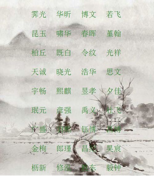 名字的个性与家族姓氏的完美搭配