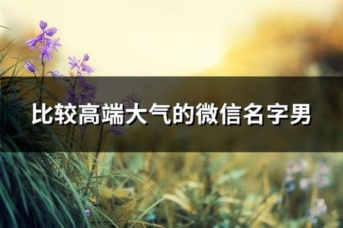 高端大气上档次与低调奢华有内涵的终极博弈