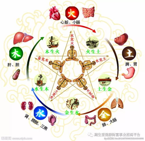 2.2 五行八字与生肖相合
