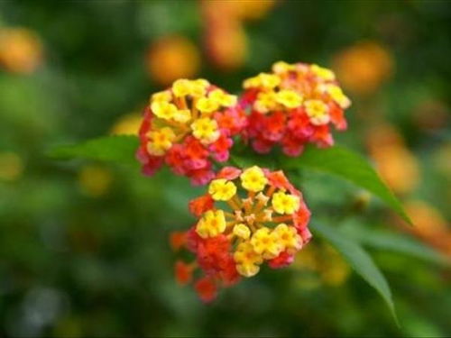 阳光照太多居然会招小人？