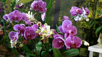 门票价格？抢劫啊！