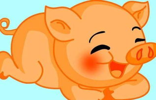 属猪双子座2026年农历八月运势和属猪巨蟹座2026年运程具体内容是什么？