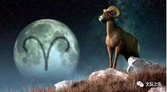 三、从星座角度解读“星座之夜与命运之兽”