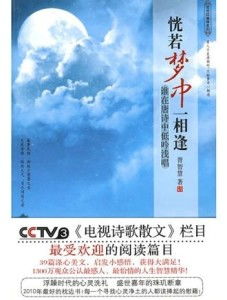 唐诗的魅力和恐慌