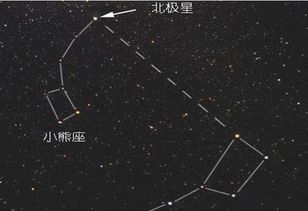 三、 各类主星人际交往风格之比较研究