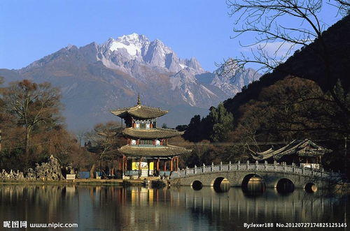 E旅行社团购——返现套路较深！