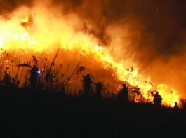 风水布局与颜色应用建议