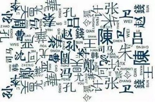 彰显个性与独特性