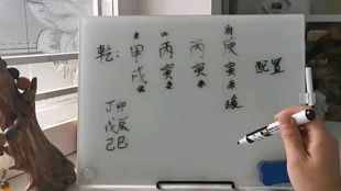 八字命格中有蛇的命格叫什么？