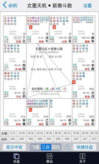 一、 紫薇斗数视域下正缘显现时间的理论基础