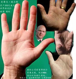 生肖星座视角下的乱掌男性群体特征对比