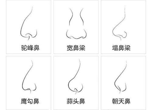 不同下巴形状对应的性格特征
