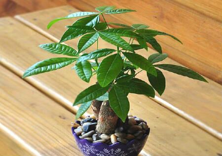 一、 财位概念之系统阐释