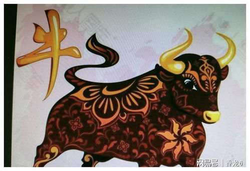 大海象征什么生肖？八路代表哪种动物？这八个字组合成生肖是什么？