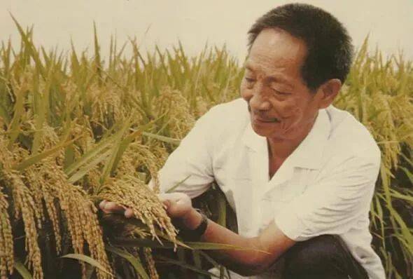 (b) 气候变迁与周边环境恶化之间隐秘关联性解析框架构建尝试