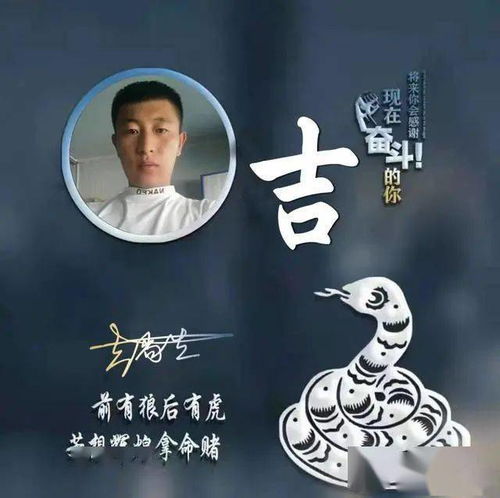 “茂宸”？真诚地说…有点儿不够劲儿！