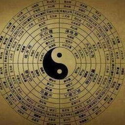 八字结构解析