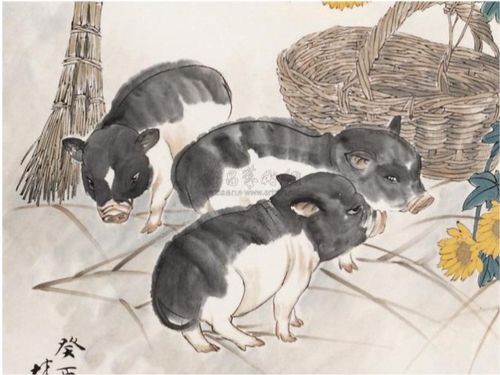 千年生肖中哪个生肖罕见？豹儿越千年打一生肖指的是什么生肖？