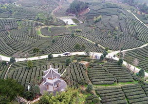 第一站：泾县古城墙