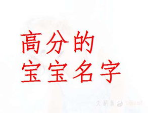 羊年五月端午出生的张姓宝宝，有没有什么好名字推荐？