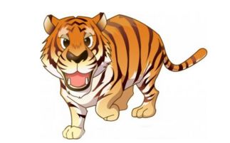 五月十九日属虎人的运势查询具体包括哪些内容？