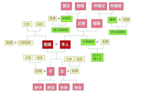 b) 旁系血亲：表姐弟与堂姐弟